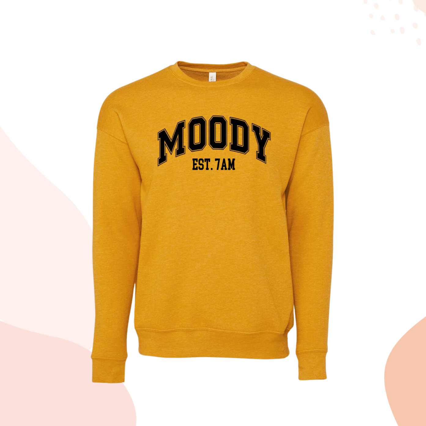 Moody Sweatshirt Funny Shirt for Women Not a Morning Person Coffee Please